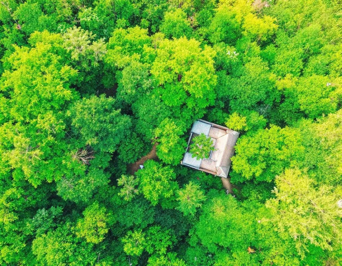 Les Fondements d'une Copropriété Harmonieuse